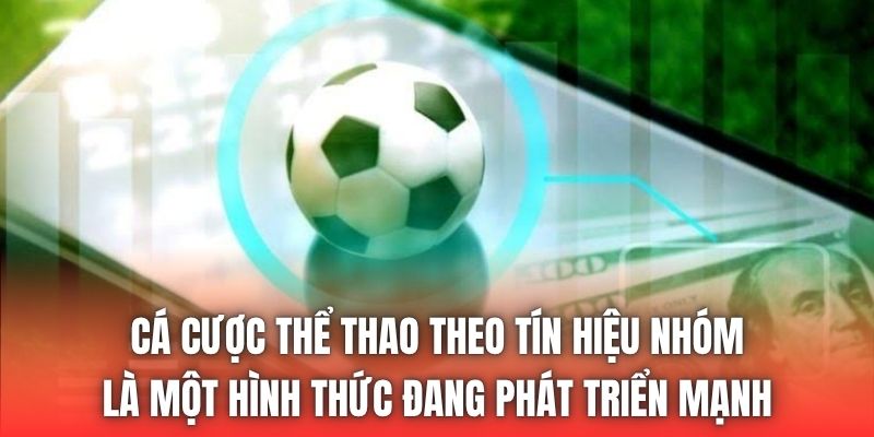 Cá cược thể thao theo tín hiệu nhóm là một hình thức đang phát triển mạnh